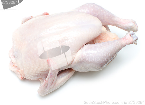 Image of raw chicken
