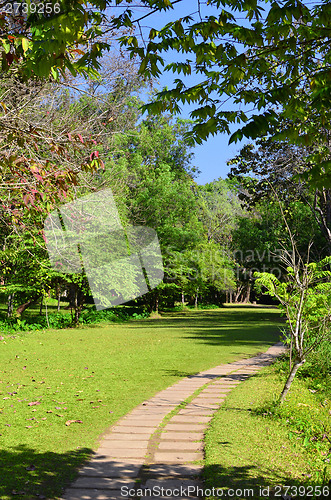 Image of garden