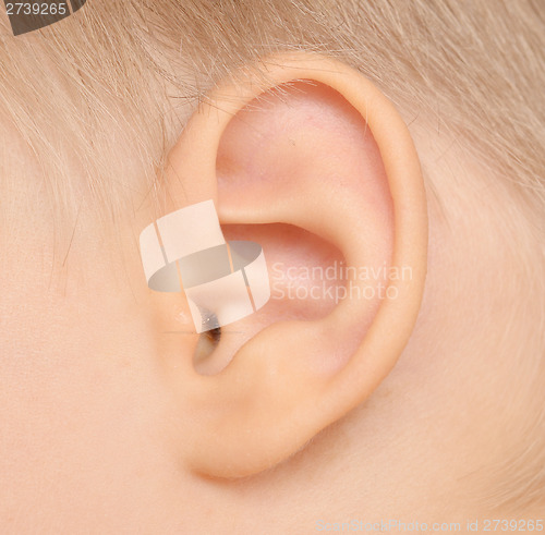 Image of baby ear