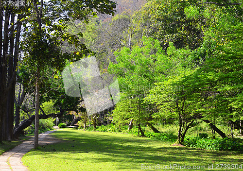Image of summer park