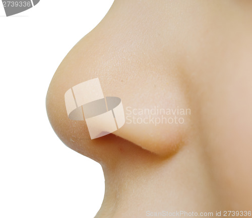 Image of baby nose