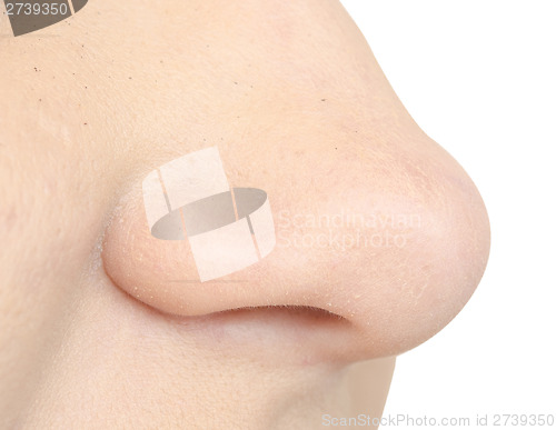 Image of human nose