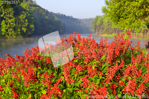 Image of beauty lake