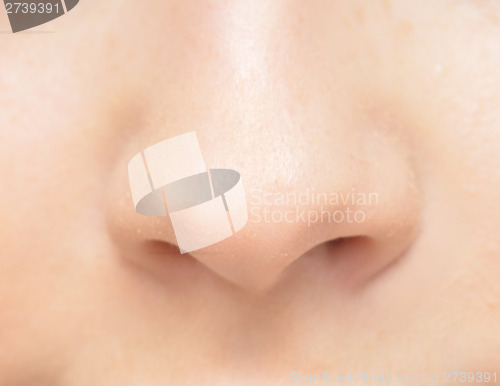Image of human nose