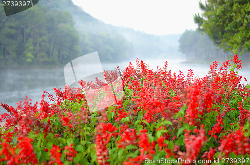 Image of beauty lake