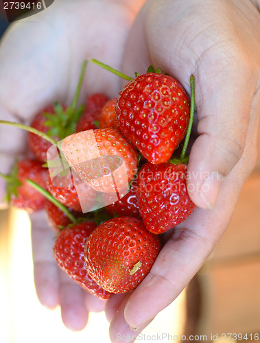 Image of strawberry
