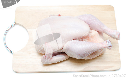 Image of chicken