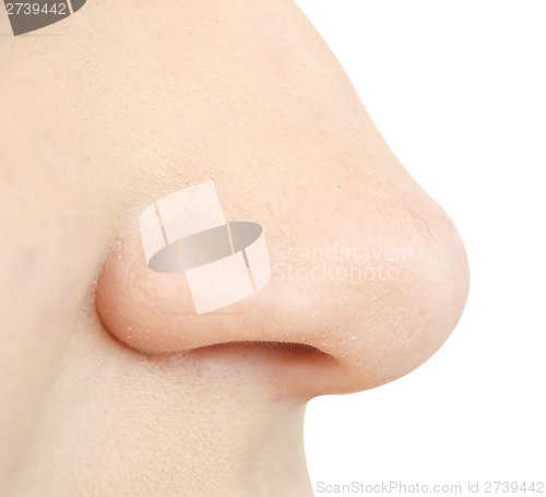 Image of human nose