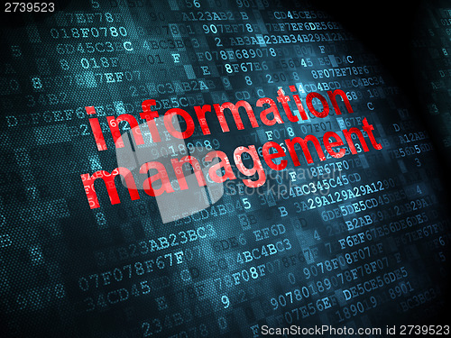 Image of Information Management on digital