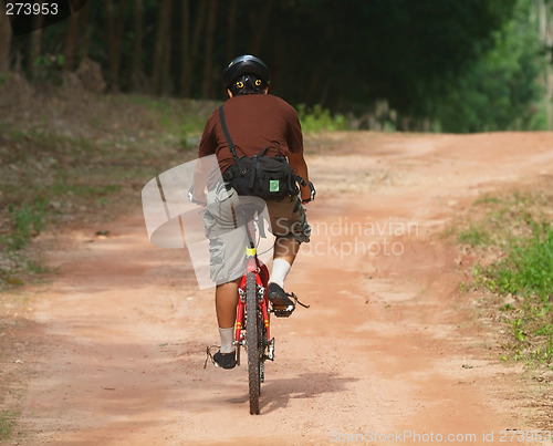 Image of Bicycle rider