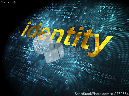 Image of Safety concept: Identity on digital background