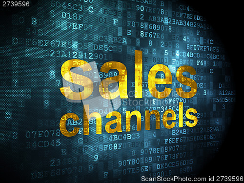 Image of Advertising concept: Sales Channels on digital background