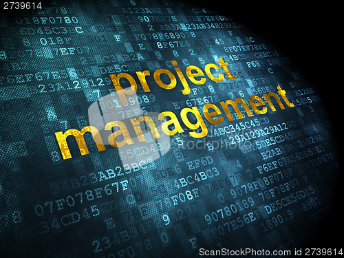 Image of Finance concept: Project Management on digital background