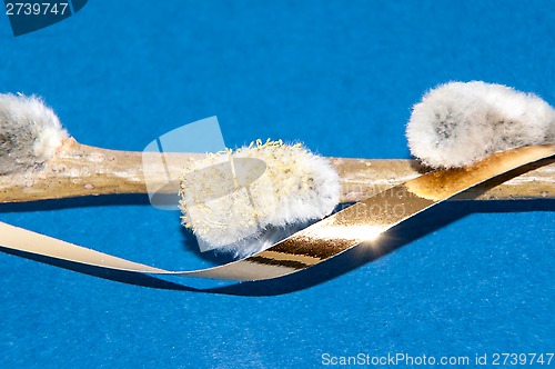 Image of Willow sprigs to bloom for Easter