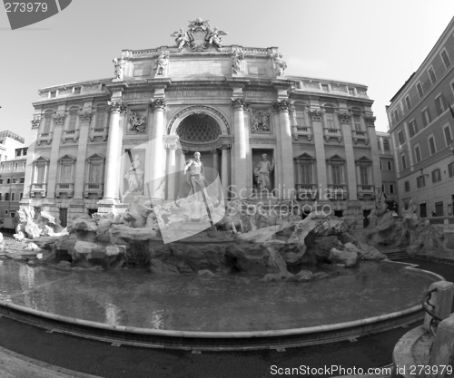 Image of trevi fountain rome black and white