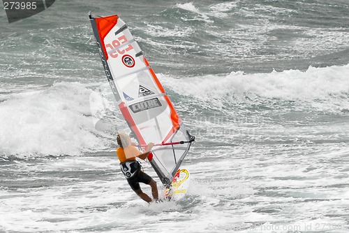 Image of Windsurfer