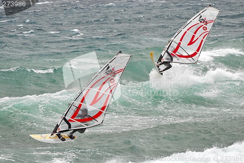 Image of Windsurfer