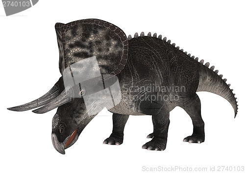 Image of Dinosaur Zuniceratops