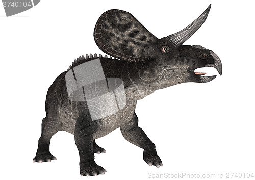 Image of Dinosaur Zuniceratops