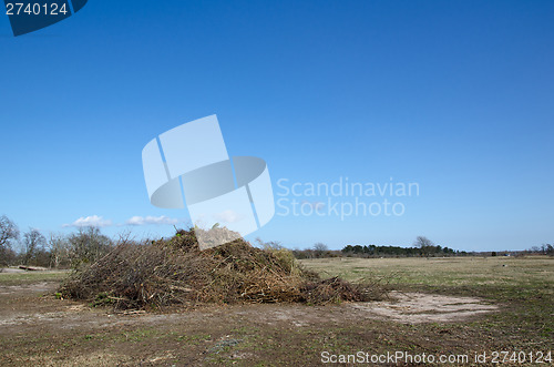 Image of Twigs from gardens in a big heap