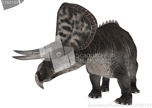 Image of Dinosaur Zuniceratops