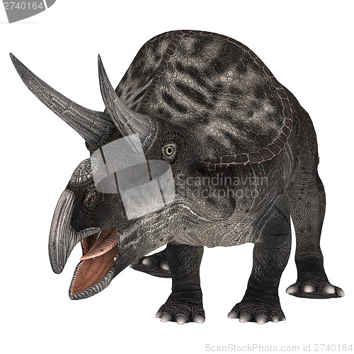 Image of Dinosaur Zuniceratops