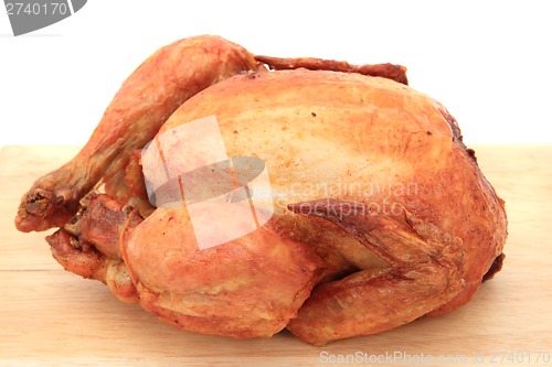Image of grilled chicken isolated