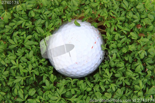 Image of watercress and golf ball 