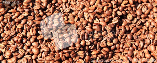 Image of coffee beans background