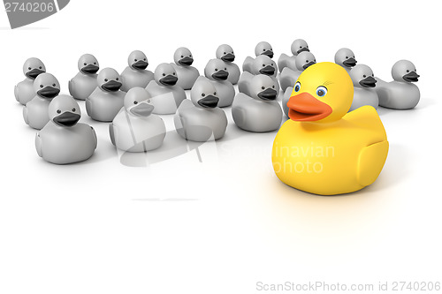 Image of rubber ducky crowd