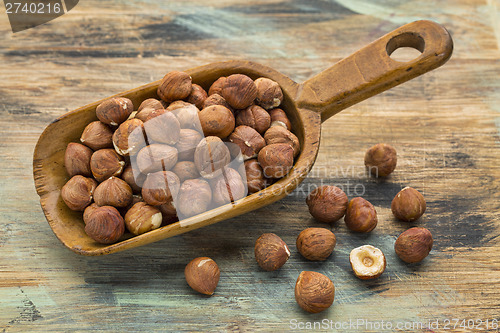 Image of scoop of hazelnuts