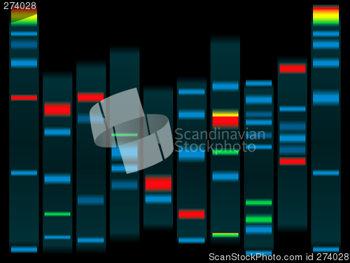 Image of dna