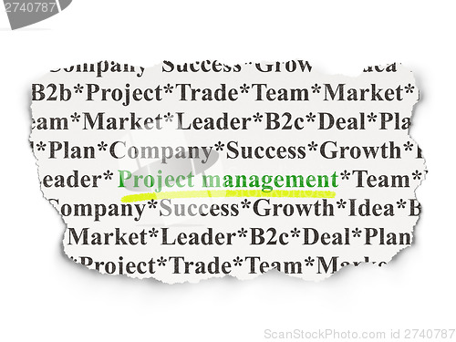 Image of Finance concept: Project Management on Paper background