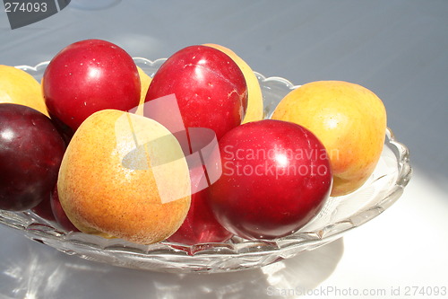 Image of Plums and apricots