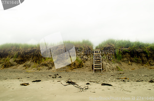 Image of Peaceful beach landscape 