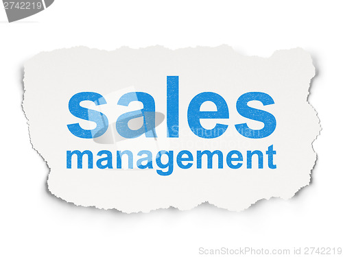 Image of Marketing concept: Sales Management on Paper background