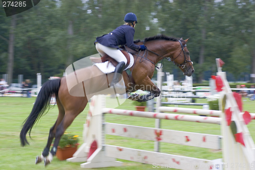Image of Show jumping