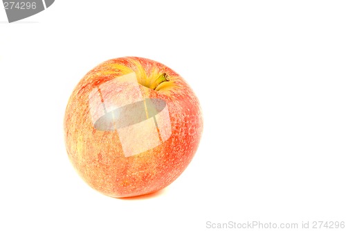 Image of Applause for the Apple
