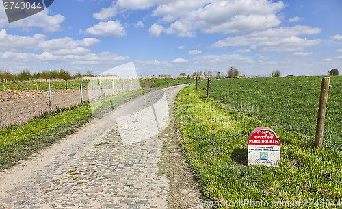 Image of Paris Roubaix- Milestone