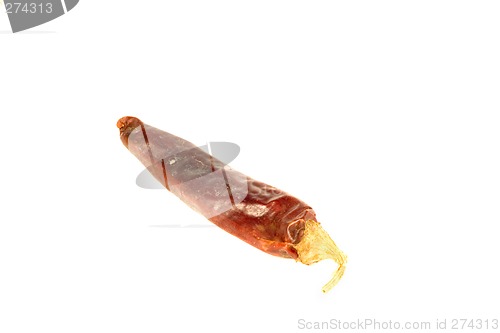 Image of Hot Hot Hot Pepper