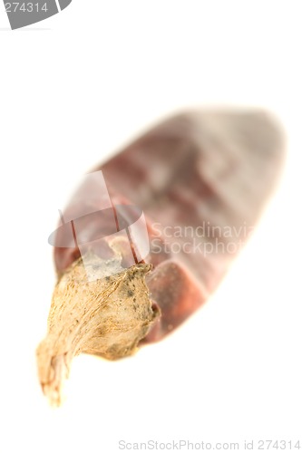 Image of Hot Hot Hot Pepper 2