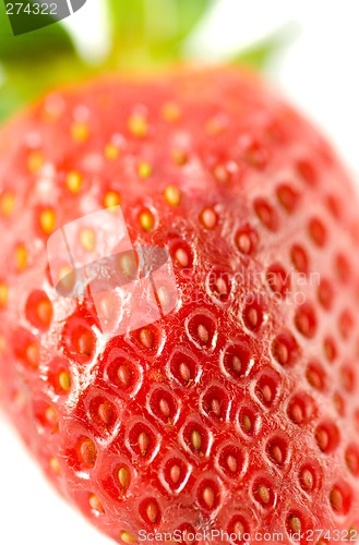 Image of Striking Strawberry 5