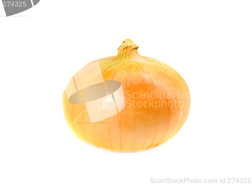 Image of One Ordinary Onion