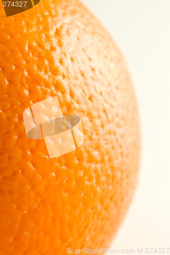 Image of One Ordinary Orange