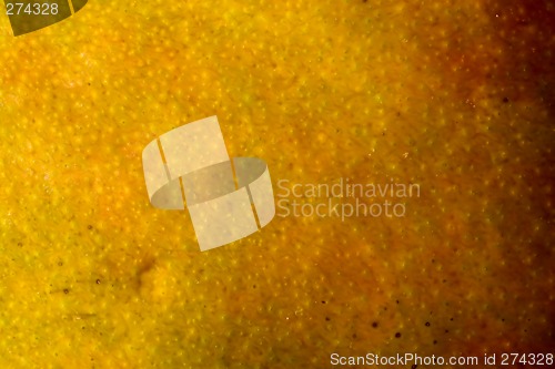 Image of Pear Abstract