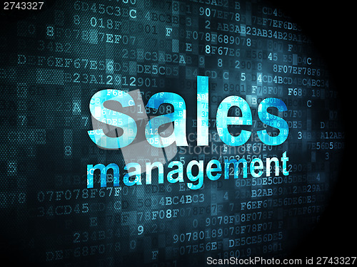 Image of Advertising concept: Sales Management on digital background