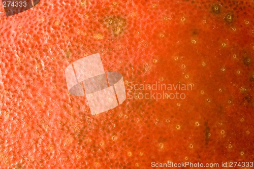 Image of Red Pear Abstract