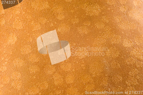 Image of Bosc Pear Abstract 2