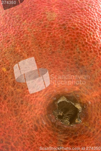 Image of Red Pear Abstract 2