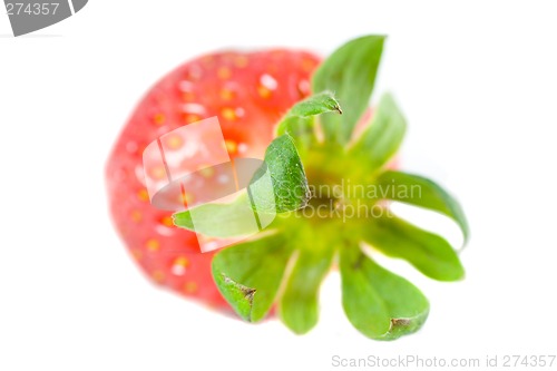 Image of Striking Strawberry 2